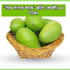 Himsagor হিম সাগর আম 500 gm